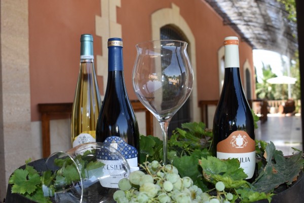 La Bodega Casa Sicilia invita a disfrutar de una nueva edición de la Fiesta de la Vendimia