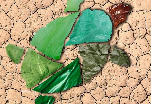 Abierto el plazo para presentar cortos en la tercera edición del Festival de Cine y Ecología
