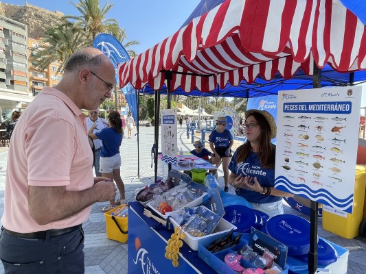 Ayuntamiento y UTE Alicante reactivan la campaña de limpieza en las
playas