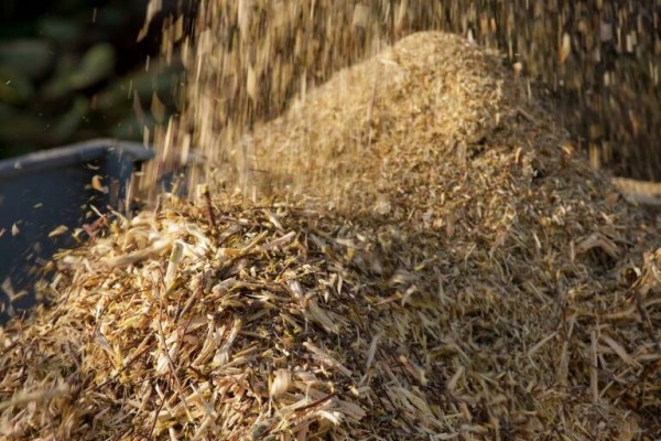 El ITE emplea restos de biomasa forestal para desarrollar una pila de combustible de hidrógeno
