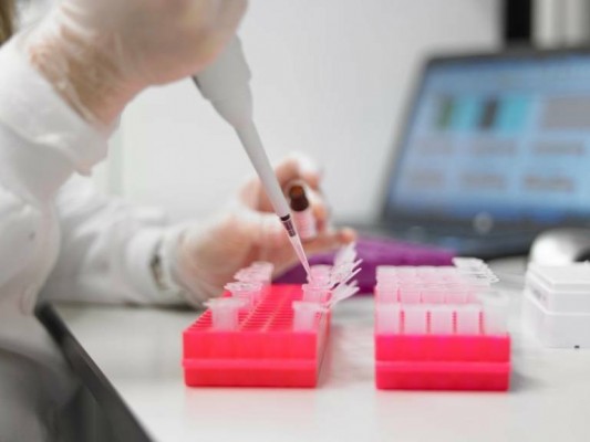 La empresa valenciana Health in Code compra la malagueña Genologica