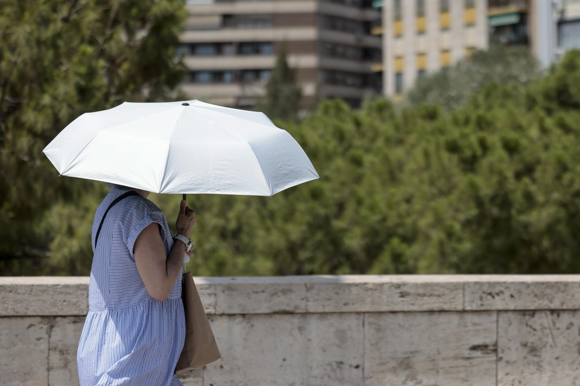 Foto: EFE/ANA ESCOBAR - 