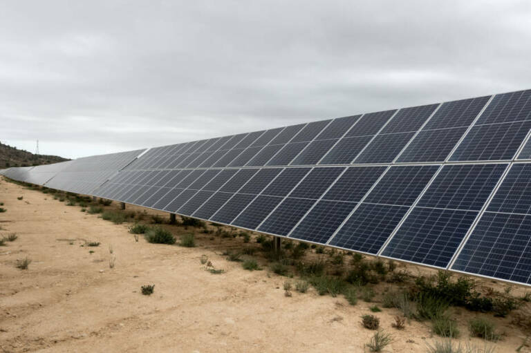 El Consell autoriza una planta solar de casi 7.500 paneles en un huerto abandonado de la Vall d'Uixó