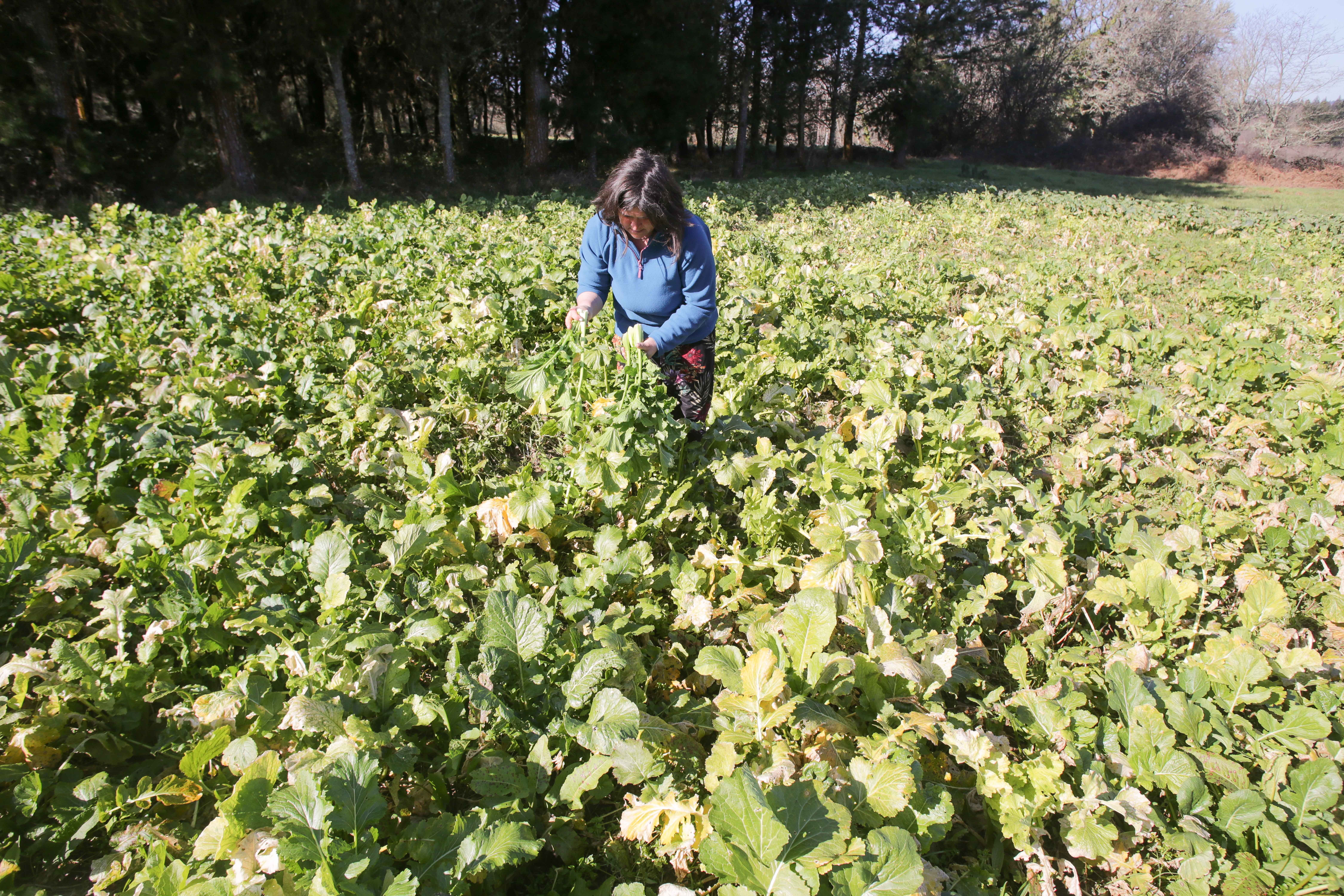 Foto: CARLOS CASTRO/EP - 