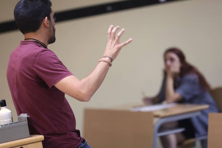 Un docente de la UJI participa en un estudio internacional sobre lenguas indoeuropeas