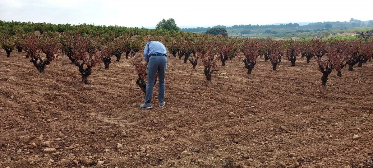 Foto: LA UNIÓ DE LLAURADORS - 