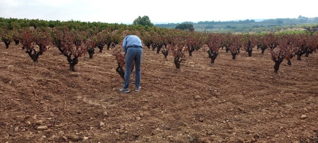 La Unió considera insuficientes las ayudas al sector agrario valenciano por la sequía