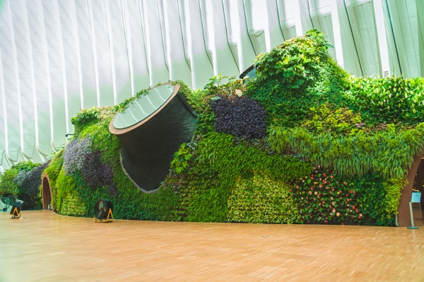 El jardín vertical del Ágora, Premio Profesional de Naturación y Agricultura Urbanas