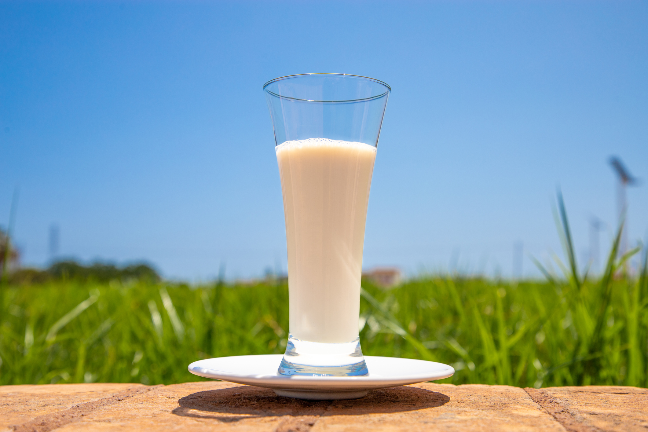 Para quitarse el calor la mejor bebida es la horchata  