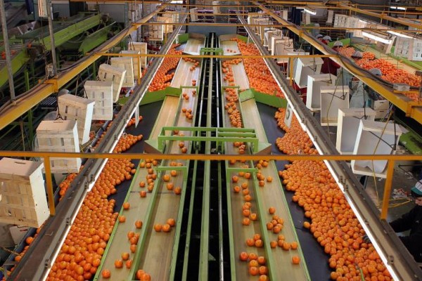 Castellón suma 11.000 parados en el último año por la caída de actividad industrial y agraria
