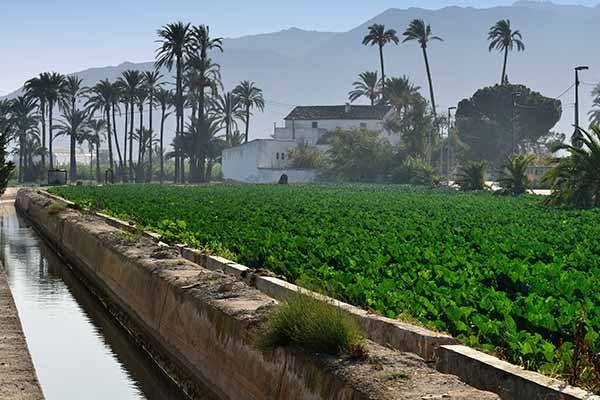 Lamento por el paisaje y el paisanaje murciano