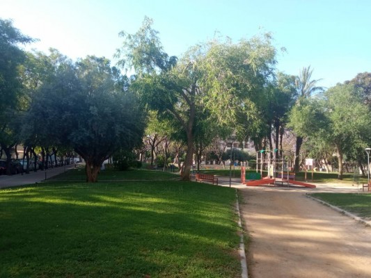 Los jardines de Murcia cobrarán vida en las noches de verano con más de 100 actividades gratuitas