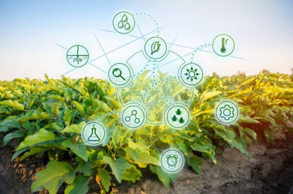 Agricultura 4.0, el futuro del campo 
