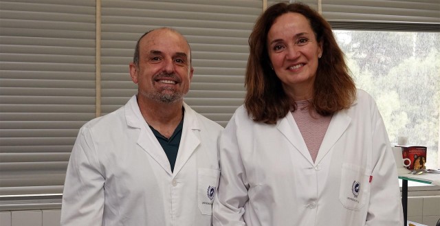 Los dermatólogos relacionan los niveles de vitamina D en la piel con la temperatura ambiental y corporal
