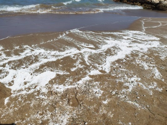 Cerradas temporalmente cuatro playas de El Puig tras detectar una sustancia blanca en sus aguas