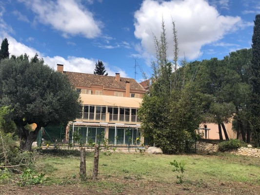 Educación autoriza un colegio estadounidense en Elche para Educación Infantil y Primaria