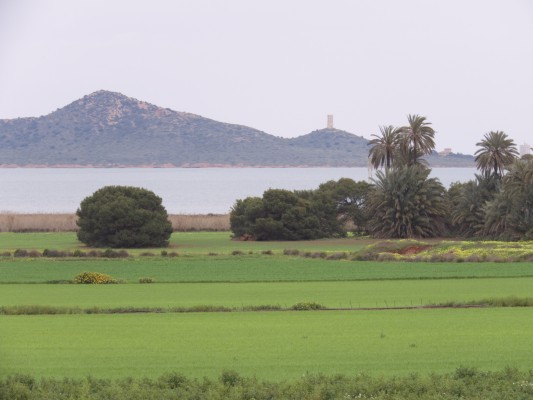 El Ministerio recibe 20 proyectos de buenas prácticas agrícolas junto al Mar Menor