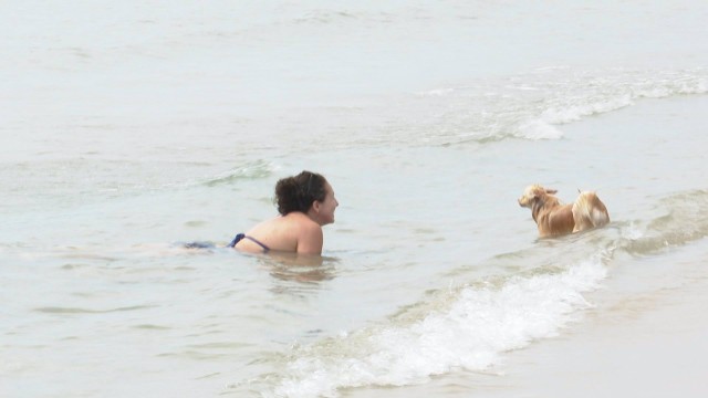 Los perros pueden disfrutar de 10.000 m2 de arena en la playa de Pinedo hasta octubre
