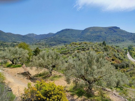 Nuevo proyecto paisajístico del 'Portal de la Calderona': una vía verde que unirá Puçol y Gilet