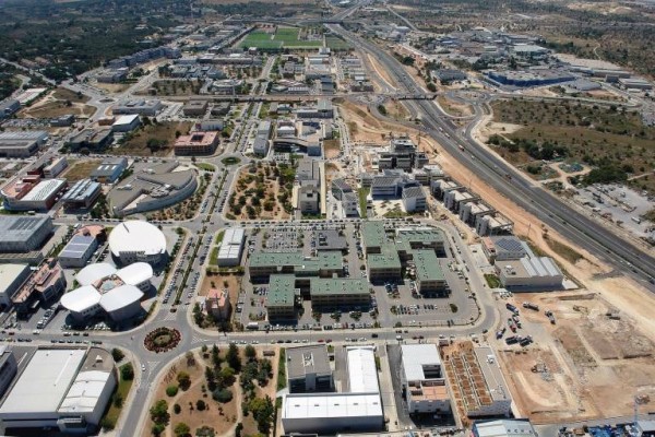 Ivace Energía destinará 750.000 euros para impulsar la biomasa en empresas y entidades