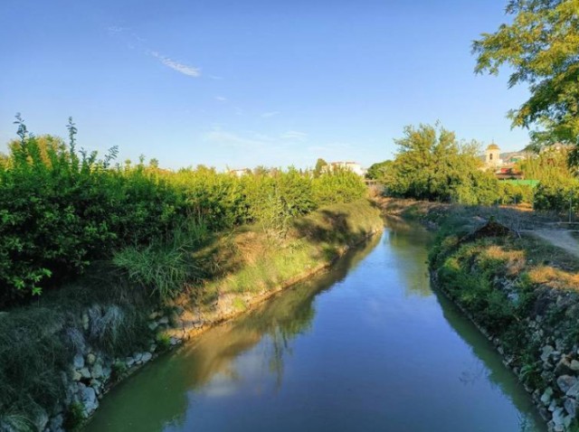 Noche de riego en la huerta de Murcia