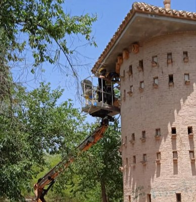 Elda instala cajas nido para dar refugio seguro a las aves y a los murciélagos