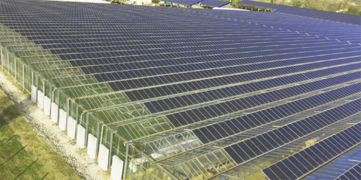  Parque solar sobre invernaderos. Foto: ES ENERGÍA  - 
