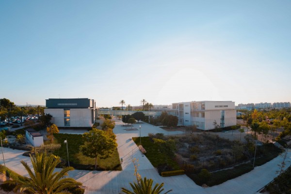 La spin-off Coex International Trade y el PCUMH colaboran para impulsar el talento innovador y emprendedor de la provincia de Alicante