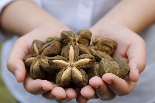 La murciana Blendhub hace la guerra a la desnutrición con un 