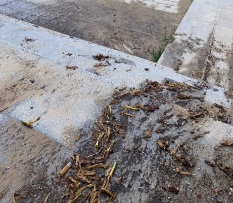 La oposición denuncia la suciedad de las calles de Cartagena en pleno festival de La Mar de Músicas