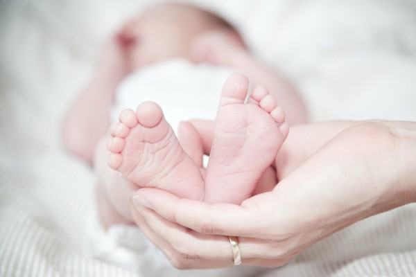 Más bebés nacen por fecundación in vitro si los óvulos se recolectan en verano