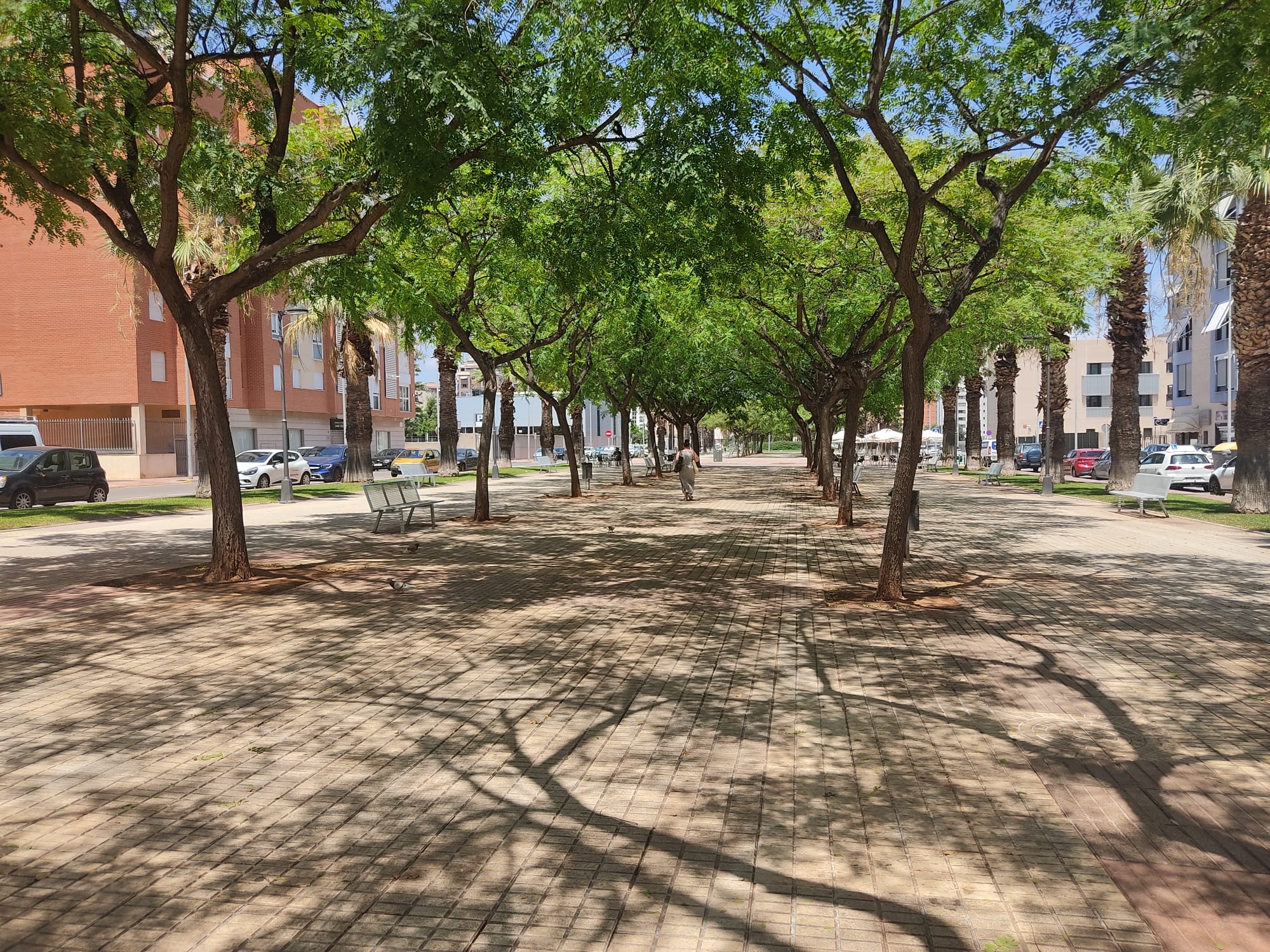 Becsa, Omega y Telecso se postulan favoritas para la reforma del bulevar Blasco Ibáñez