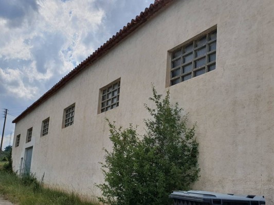 De reparaciones de vehículos a una nave de su padre: las ayudas indebidas a Francis Puig 