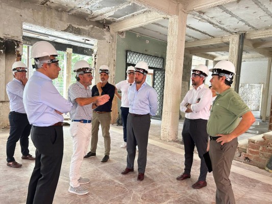 El Hort del Gat de Elche será definitivamente un centro de interpretación del palmeral