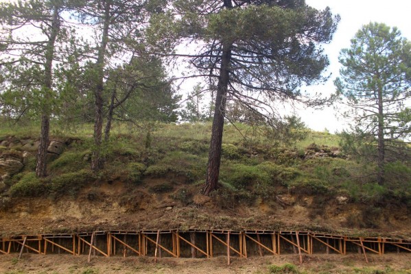 El Consorci de Museus busca proyectos artísticos para desarrollarse en el entorno rural