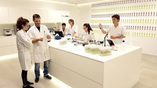 Dos gigantes alimentarios se separan: AMC Natural Drinks y AM Fresh dividen sus caminos