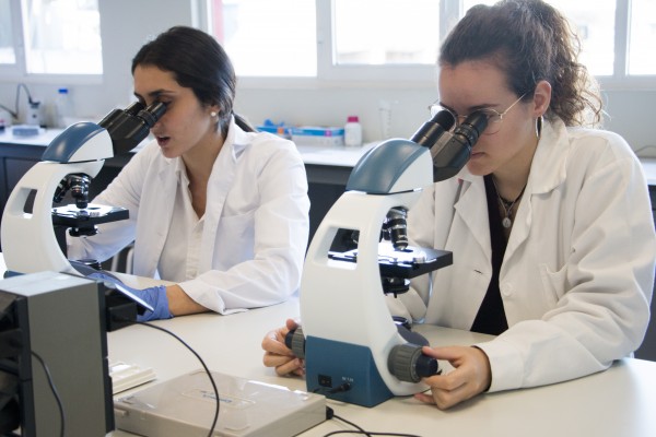 Ciclos formativos, una garantía de futuro laboral