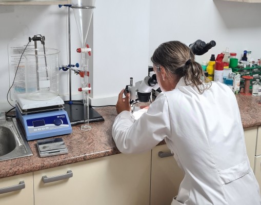 Ocho clínicas veterinarias de la Comunitat ya pueden hacer pruebas de triquina a los jabalís

