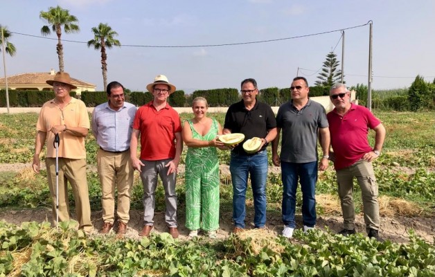 Dolores acoge el primer corte del melón de carrizales, con 150.000 kilos de producción