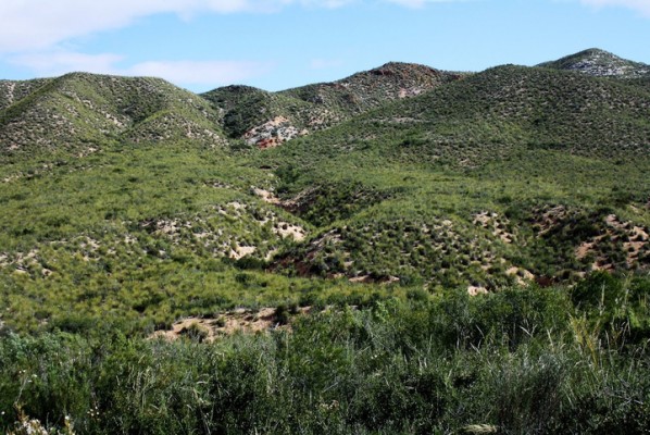 La Comunidad presenta dos proyectos para el Plan Nacional de Adaptación al Cambio Climático