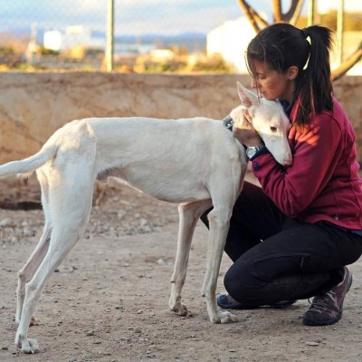 Càlig es consolida com a espai formatiu en l'art d'educar els gossos i zona de residència canina
