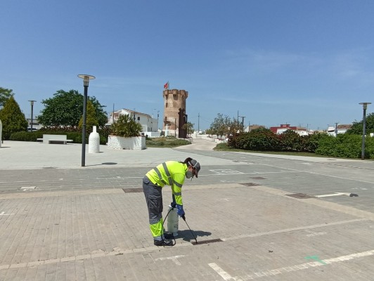 Paterna aumenta los tratamientos contra el mosquito tigre ante la llegada del calor