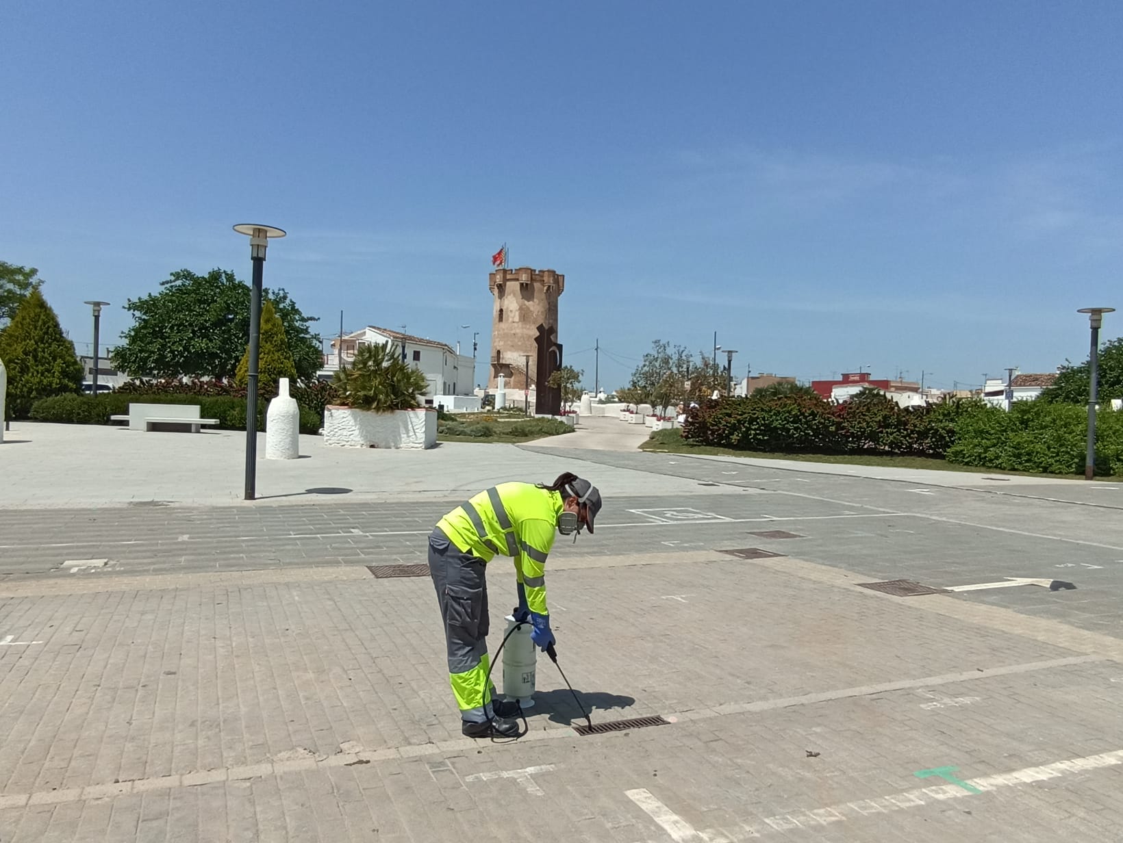 Paterna aumenta los tratamientos contra el mosquito tigre ante la llegada del calor