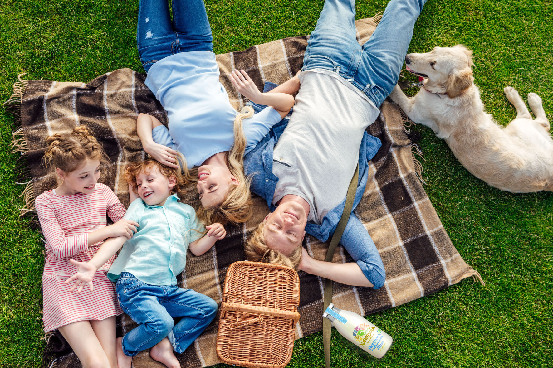 Así es Xufatopía, la horchata que te espera al llegar a casa