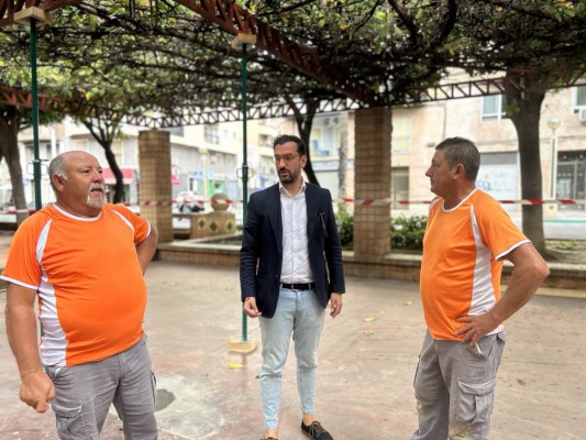Elche reformará la pista cubierta de Los Palmerales y sustituye columnas de la Avenida de la Libertad 