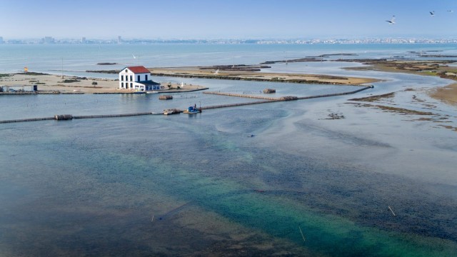 La catalana Adasa instalará una red de boyas en el Mar Menor para mejorar su control ambiental