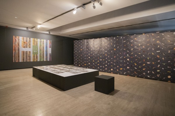 La Escuela Politécnica Superior de la UA diseña la nueva exposición del MUA: 'Después de la UA'
