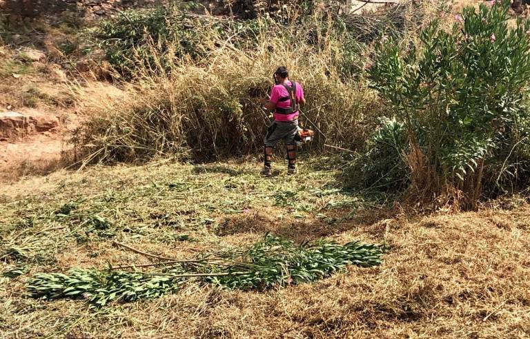 Betxí contracta una vintena de treballadors per a la neteja de barrancs i prevenció d'incendis