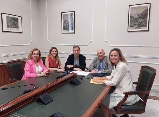 El Ayuntamiento de València suprimirá uno de los carriles bus de la calle Colón y recuperará el acceso desde Porta de la Mar
