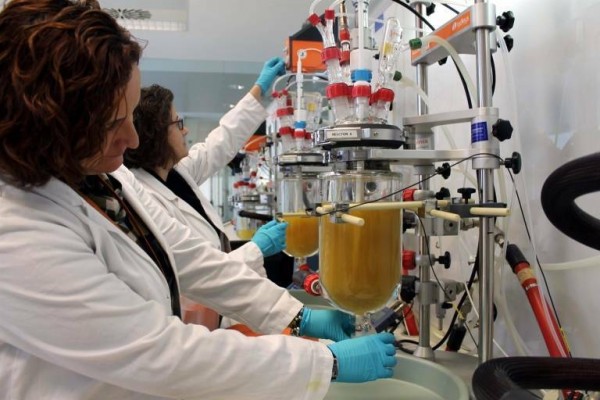 Redit Ventures se convierte en intermediario para la gestión de los préstamos participativos del IVF